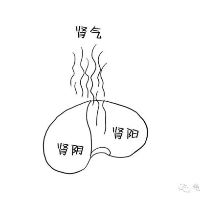 月经失调扰人烦，推荐三款阴、阳、气养肾陈瑞银资深中医师调治有优势