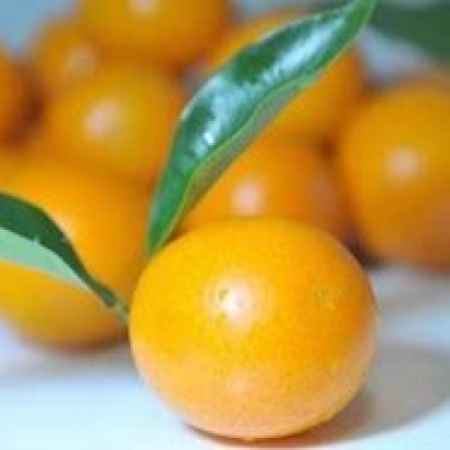 咳嗽时能吃金桔吗？