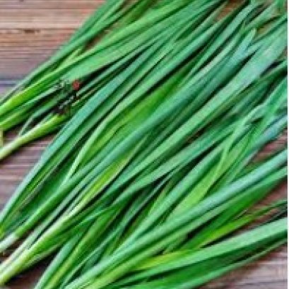 韭菜 补肝益肾促消化