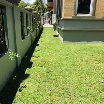 ปรับพื้นที่ปูหญ้า บางแค