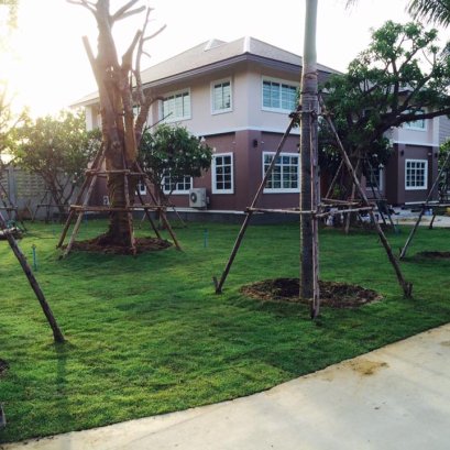 ปรับพื้นที่ปูหญ้า ราชบุรี