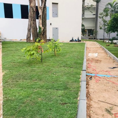 ปรับพื้นที่ปูหญ้า ม.เกษตรศาสตร์ ศรีราชา
