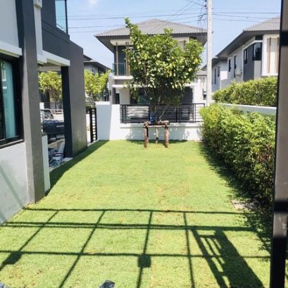 ปูหญ้านวลน้อย 43 ตรม. ลำลูกกาคลอง 4 