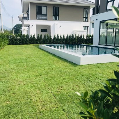 ปูหญ้านวลน้อย หน้างาน ประจวบ 650 ตรม.