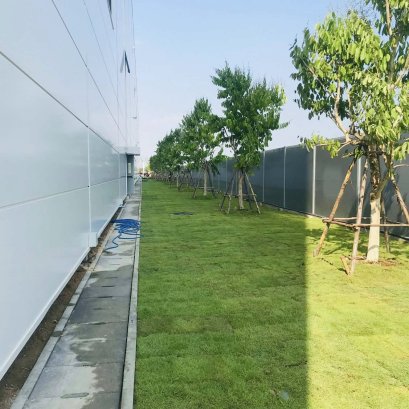 ปลูกต้นไม้โครงการ ปูหญ้านวลน้อย 7050 ตรม. โรงงาน จ.สมุทรปราการ