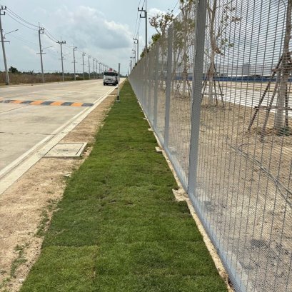 ปูหญ้ารอบรั้วโรงงาน หน้างาน บางบ่อ