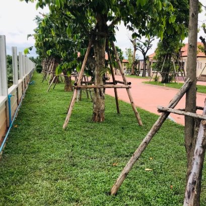 ปรับพื้นที่ปูหญ้า ราชบุรี