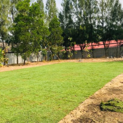 ปูหญ้านวลน้อย 200 ตรม หน้างานสุพรรณบุรี
