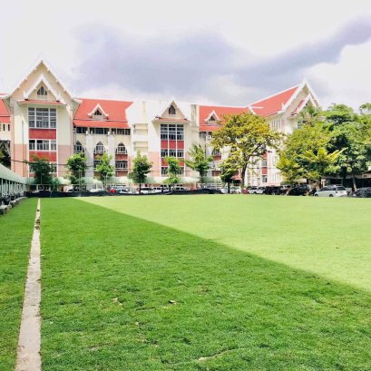 ปรับพื้นที่ ปูหญ้าพาสพาลั่ม กรมขนส่งทางบก จตุจักร