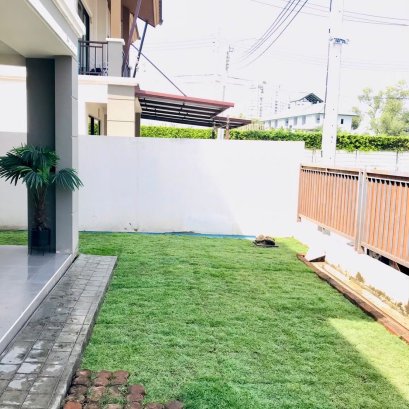 ปูหญ้านวลน้อย 50 ตรม หน้างานพัฒนาการ