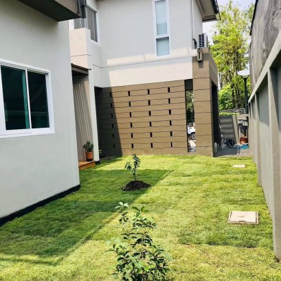ปูหญ้านวลน้อย 50 ตรม หน้างานร่มเกล้า