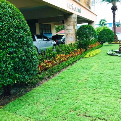 ปรับภูมิทัศน์ใหม่ มหาลัยการกีฬาแห่งชาติ วิทยาเขตกรุงเทพ