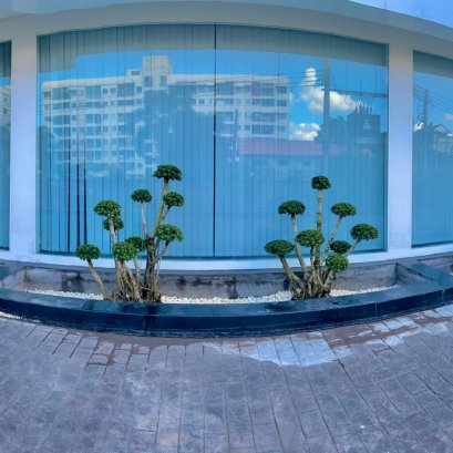 ปลูกต้นช้อนเงินช้อนทอง บจก.เอสเทรด(ประเทศไทย) ซ.สุคนธสวัสดิ์ 28