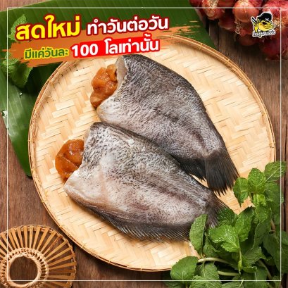 ปลาสลิดแดดเดียวแบบมีไข่ (โจรสลิด)