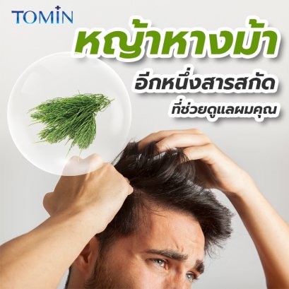 หญ้าหางม้า อีกหนึ่งสารสกัดช่วยเรื่องเส้นผม