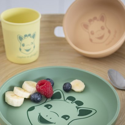 WHEN SHOULD BABY'S DIET START TO CHANGE?