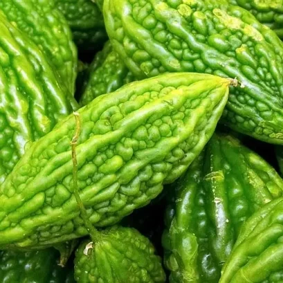 มะระขี้นกสมุนไพรพื้นบ้านที่มีสรรพคุณที่ดีมากมาย