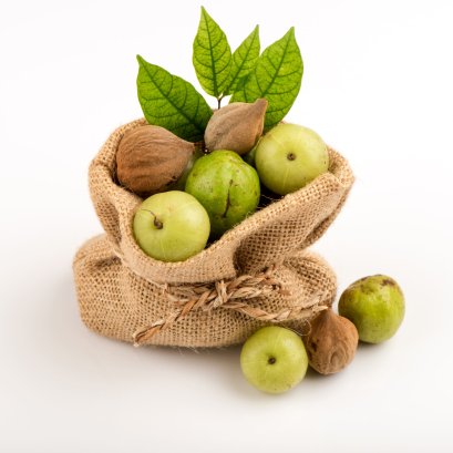 รูปภาพบทความ ตรีผลา