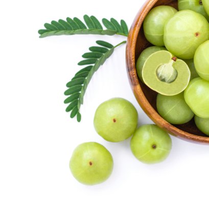 รูปภาพบทความ มะขามป้อม