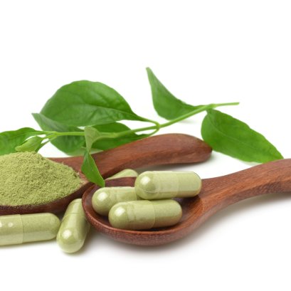 รูปภาพสมุนไพร ฟ้าทะลายโจร