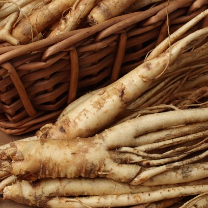 รูปภาพบทความ รากกิกเก้