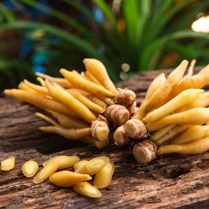 รูปภาพบทความ pinotin