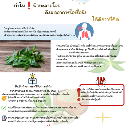 อย่าปล่อยให้อาการไอรบกวนชีวิต