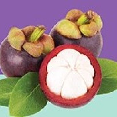 มารู้จักน้ำมังคุด APCO Essence กันค่ะ