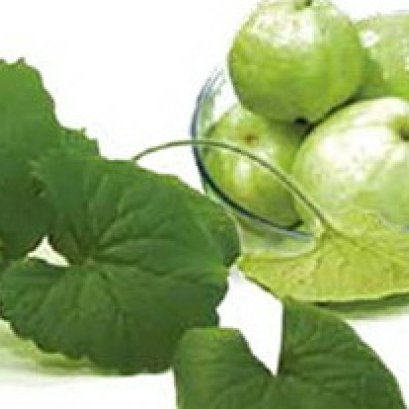 ชีวิตยังมีหวัง...ผู้ป่วยมะเร็ง