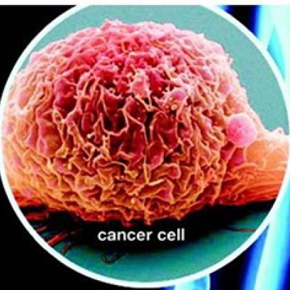 APCO - สร้างภูมิคุ้มกันสมดุลสู้ 