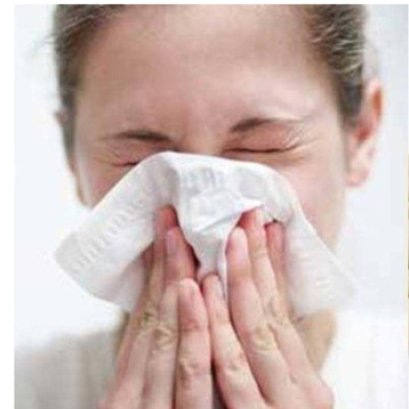 APCO - พืชไทย 5 ชนิด พิชิตภูมิแพ้