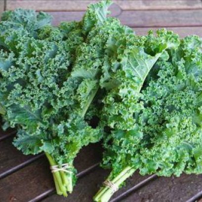 Curl leaf kale