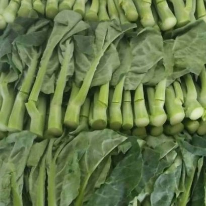 Chinese Kale