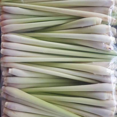 Lemon grass
