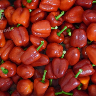 Red Bell Peppers