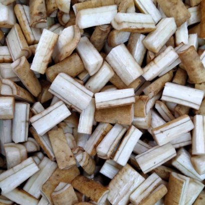 Gobo root cut Sliced