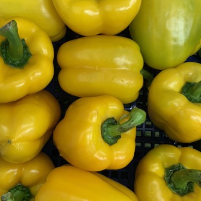 พริกหวานเหลือง