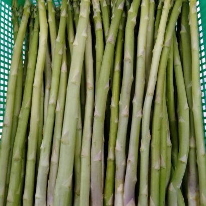 หน่อไม้ฝรั่ง