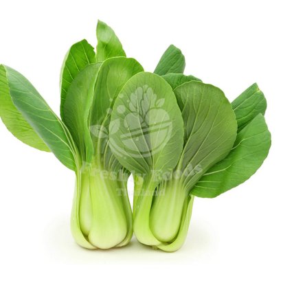 Bok choy