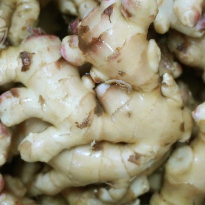 ขิงไทยสด