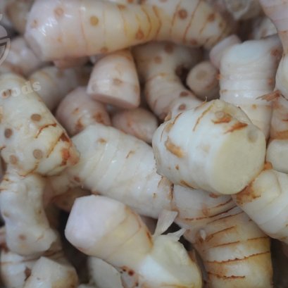 Galangal Cut