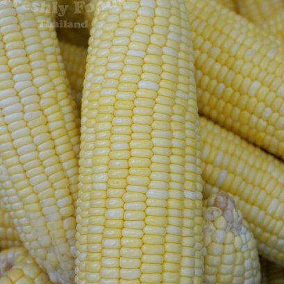 Sweet Corn