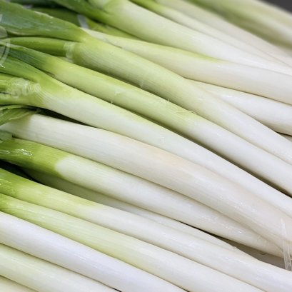 Japanese Bunching Onion