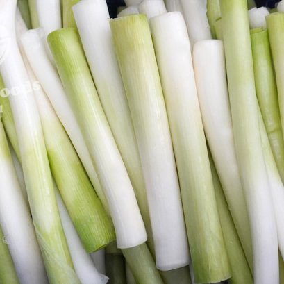 ต้นหอมญี่ปุ่น