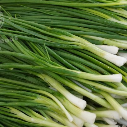 ต้นหอมไทยตัดราก