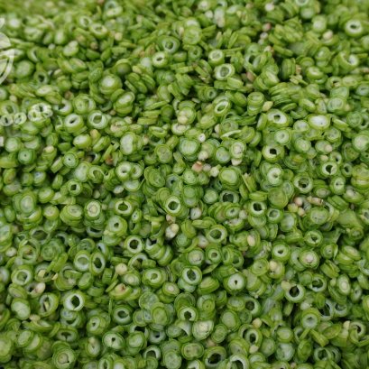 ถั่วฝักยาวซอย