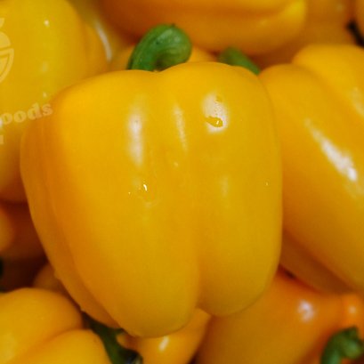 Yellow bell pepper