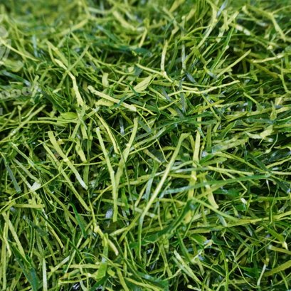 ใบมะกรูดซอย