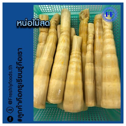 bamboo shoot