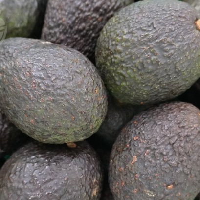 อะโวคาโด